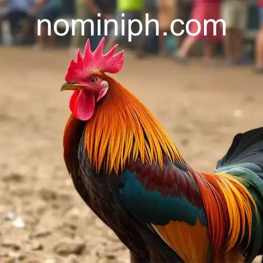 Exploring Sabong Games and Nomini: A Dynamic Duo